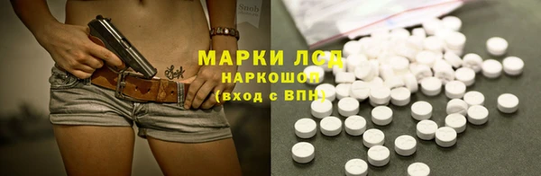 шишки Аркадак