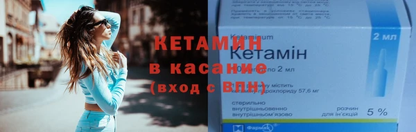 шишки Аркадак