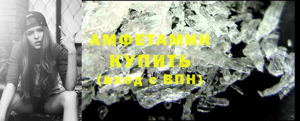 шишки Аркадак