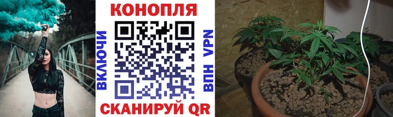 Канабис SATIVA & INDICA  дарнет шоп  Большой Камень 
